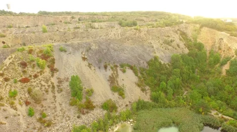 Flight over Swamps. Stock Footage 55075487