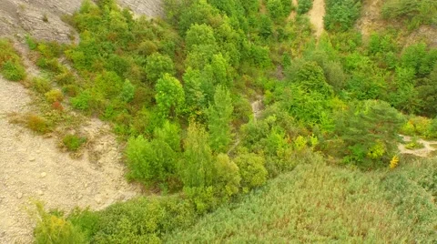 Flight over Swamps. Stock Footage 55076043