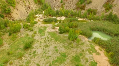 Flight over Swamps. Stock Footage 55076179