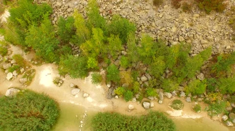 Flight over Swamps. Stock Footage 55076509