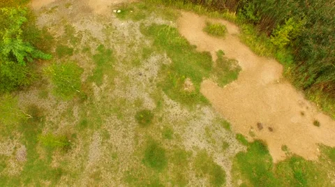 Flight over Swamps. Stock Footage 55076578