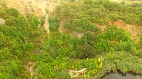 Flight over Swamps. Stock Footage 55076744
