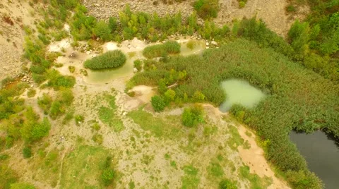 Flight over Swamps. Stock Footage 55078109