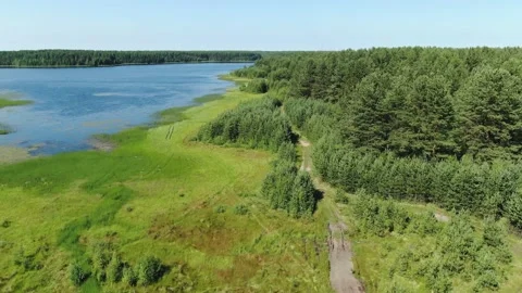 Flight over the taiga forest lake Stock Footage 135606748