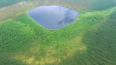 Flight over the taiga forest lake. View from above Video stock 135790244