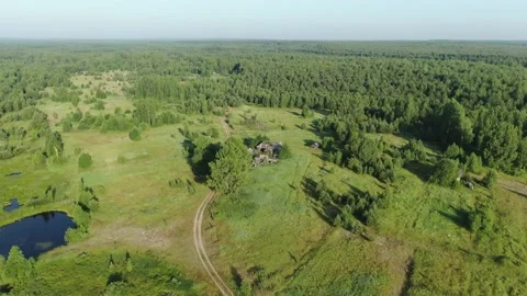 Flight over the taiga. Pine forest from a height. Stock Footage 136236467