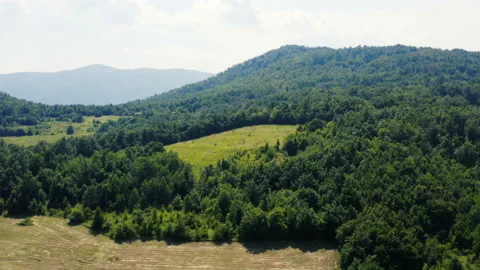 Flight over a thick forest in the mountains Stock Footage 135850812
