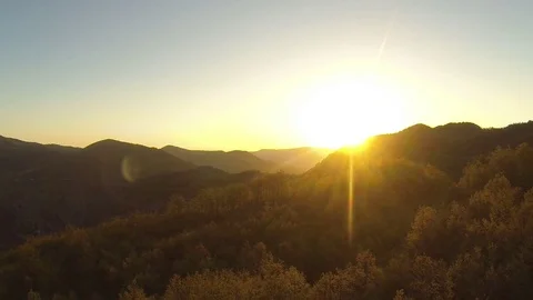 Flight over a thick forest at sunset Stock Footage 72166061