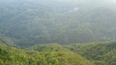 Flight over a thick forest on a vast mountain terrain 库存影片 137593850