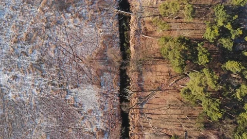 Flight over the tops of trees and a straight river among the forest Stock Footage 196289168