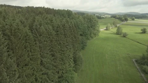 Flight over the tops of the trees in the beautiful forest of Bavaria Stock Footage 197107705