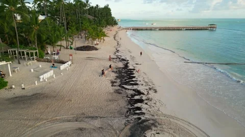 Flight over the tourist beach in Punta Cana at sunrise Video stock 305863683