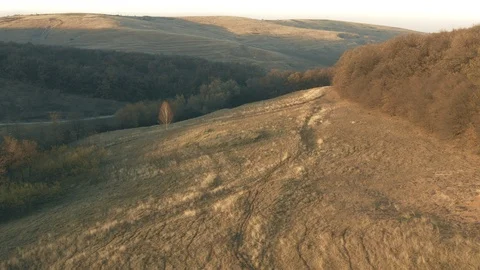 Flight over a Transylvanian meadow Stock Footage