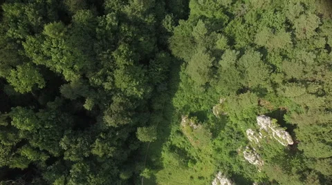 A flight over tree tops and rock formations 002 Video stock 63784669