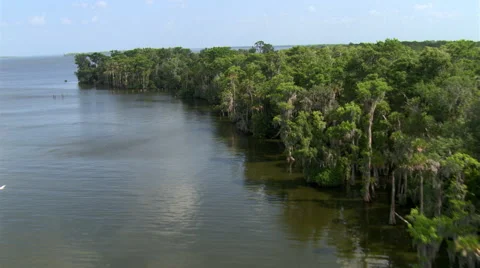 Flight over trees and along shoreline of estuary on the Florida coast. Shot in Stock Footage 59541854