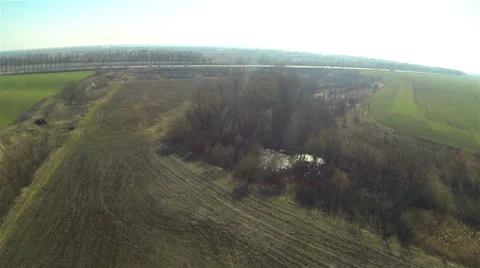 Flight over trees and field with road . Aerial  landscape Video stock 36145108