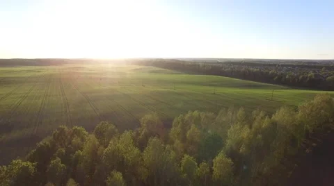 Flight over trees and fields. 4k. Aerial shot Video stock 55720798