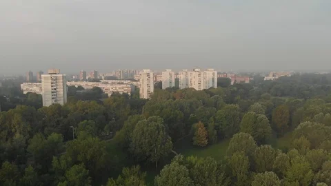 Flight over trees and park, building in background Stock Footage 115721912