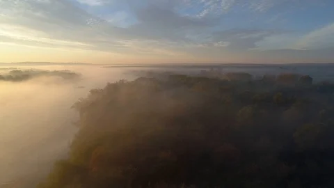 Flight over trees and water in the fog, aerial view Stock Footage 123705616