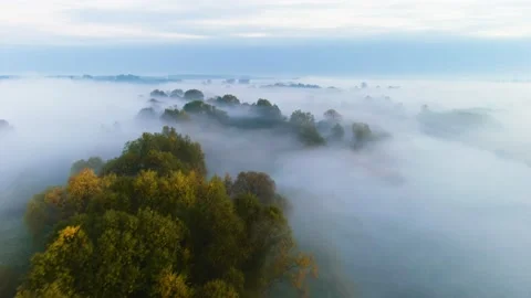 Flight over the trees in the fog 스톡 동영상 219701160