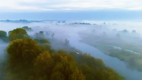 Flight over the trees in the fog 스톡 동영상 219736192