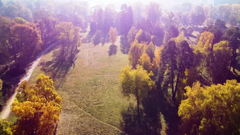 Flight over the trees, glade, river in the park on a sunny autumn day. Stock Footage 212067950