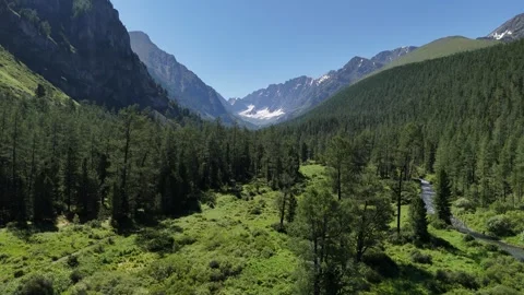 A flight over the trees in the mountainous terrain of Altai. Stock Footage 345037759