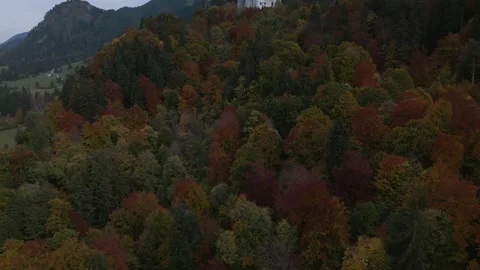 A flight over the trees next to Neuschwanstein Castle Stock-Footage 223258141