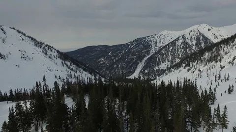 Flight over the trees in the Northern Circus Video stock 75642458