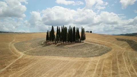 Flight over trees in Tuscany Stock Footage 159060536