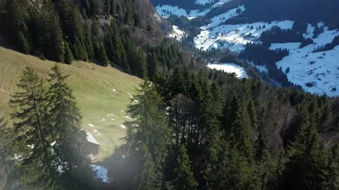 Flight over treetops overlooking Mountain valley in Switzerland Video stock 167983403