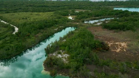 Flight over a tropical lake in Punta Cana Stock-Footage 306559979