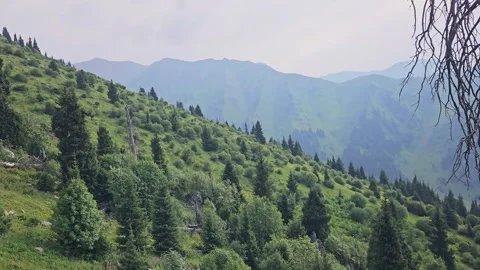 Flight Over Valley Stock Footage 249312300
