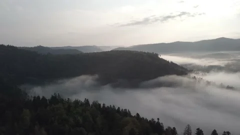 Flight over a Valley forest mist morning 4k Stock Footage 147141205