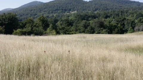 Flight over a valley surrounded by mountains Stock Footage 136829351