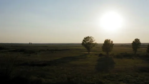 Flight over vast fields with a sunset in the background Stock Footage 137853381