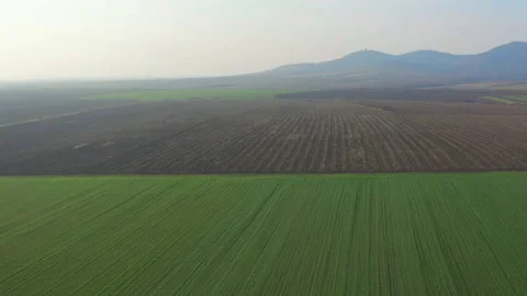 Flight over a vast wheat field under a couple of hills Stock Footage 150409416