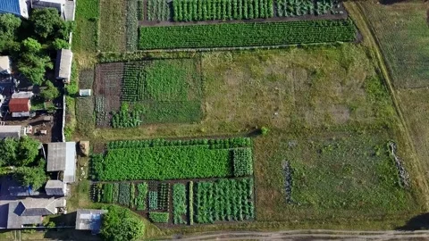 Flight over the vegetable gardens Russian village Video stock 134350445