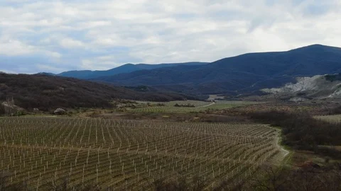 Flight over the vineyard in the mountains in early spring Stock Footage 106441693
