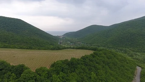 Flight over vineyards in the background of mountains Vídeo Stock 89938675