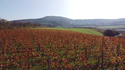 Flight over vineyards near Eschenau, Germany Stock Footage