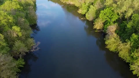 Flight over water and forest trees from a height Stock Footage 195170215