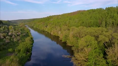 Flight over water and forest trees from a height Stock Footage 195170591