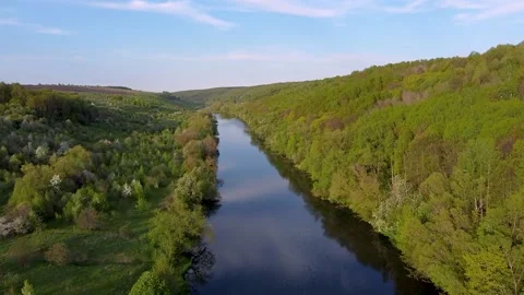 Flight over water and forest trees from a height 스톡 동영상 195170845