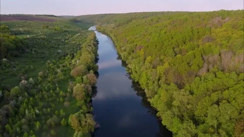 Flight over water and forest trees from a height 스톡 동영상 195170989