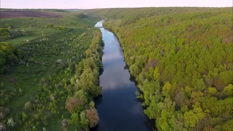 Flight over water and forest trees from a height Stock Footage 195171153