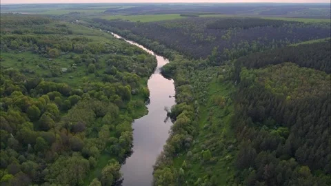 Flight over water and forest trees from a height Stock Footage 195171948