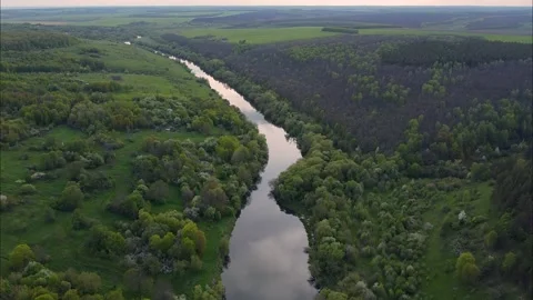 Flight over water and forest trees from a height Stock Footage 195172409