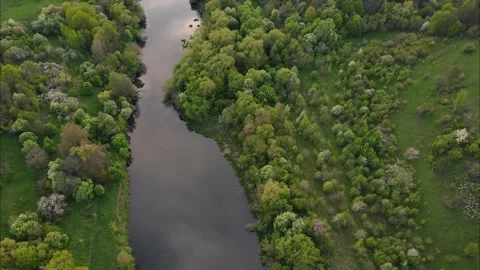 Flight over water and forest trees from a height Stock-Footage 195172775