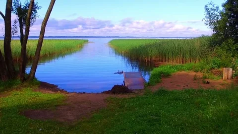 Flight over the water surface and reed Stock Footage